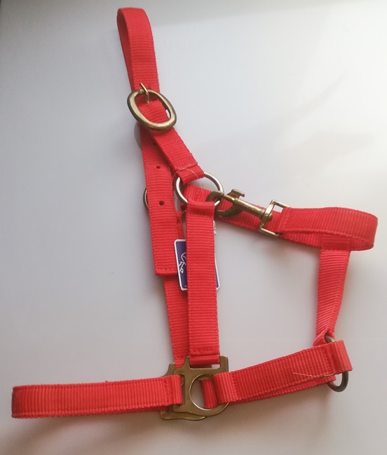 CAPEZZA SINTETICA BASIC PONY* Capezze Nylon 
